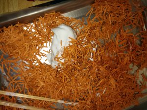 IMG_20171109_091010