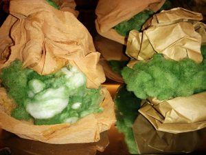 IMG_20171117_075724